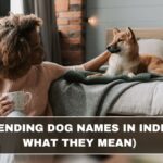 Top Trending Dog Names in India (and What They Mean)