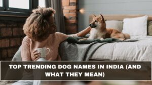 Top Trending Dog Names in India (and What They Mean)