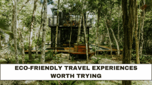 Eco-Friendly Travel Experiences Worth Trying