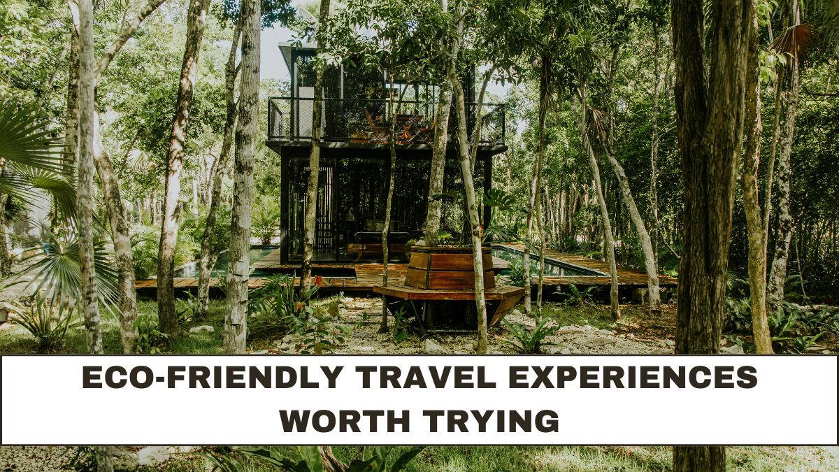 Eco-Friendly Travel Experiences Worth Trying