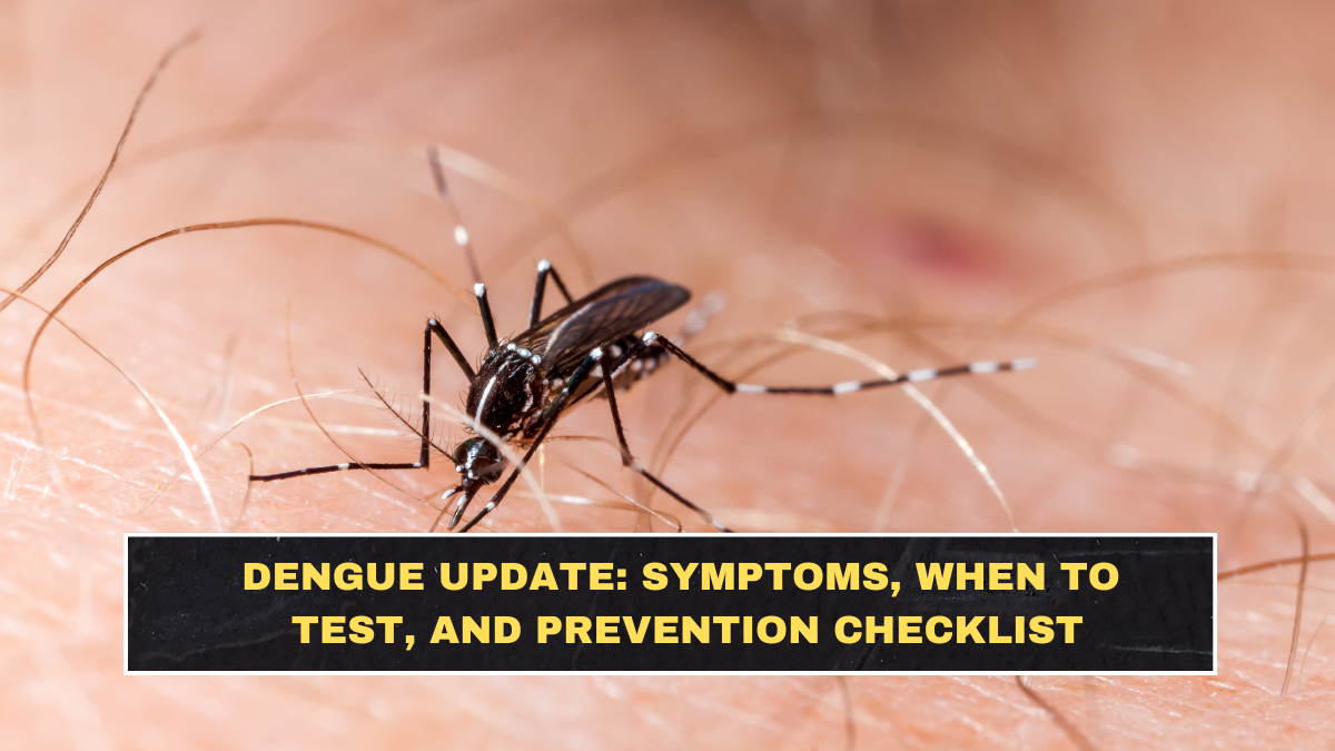 Dengue Update: Symptoms, When to Test, and Prevention Checklist