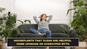 Houseplants That Clean Air: Helpful Home Upgrade or Overhyped Myth