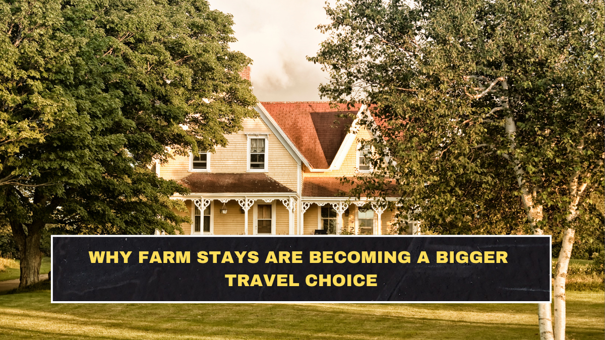 Why Farm Stays Are Becoming a Bigger Travel Choice